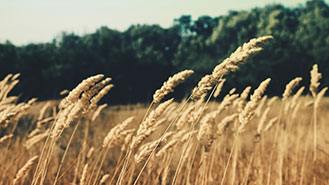 游戏账号购买的在线DDOS攻击平台